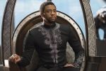 Black Panther (2) | Kino und Filme | Artikeldienst Online